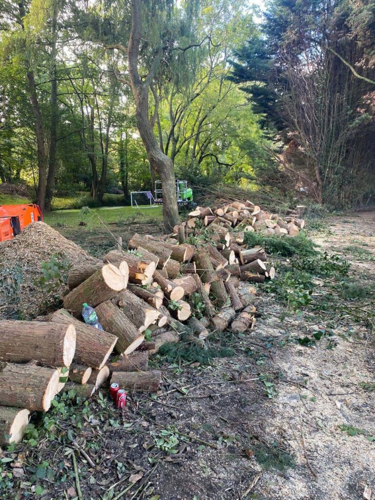 This is a photo of a wood area which is having multiple trees removed. The trees have been cut up into logs and are stacked in a row. Kirkby in Ashfield Tree Surgeons