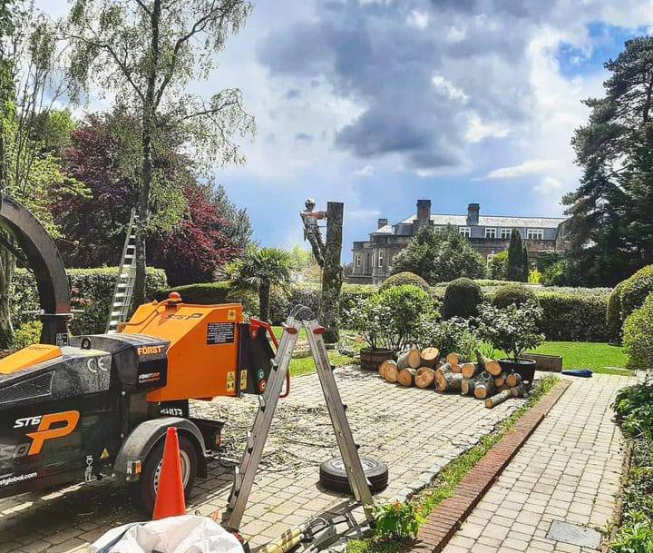 This is a photo of a tree being felled. A tree surgeon is currently removing the last section, the logs are stacked in a pile. Kirkby in Ashfield Tree Surgeons