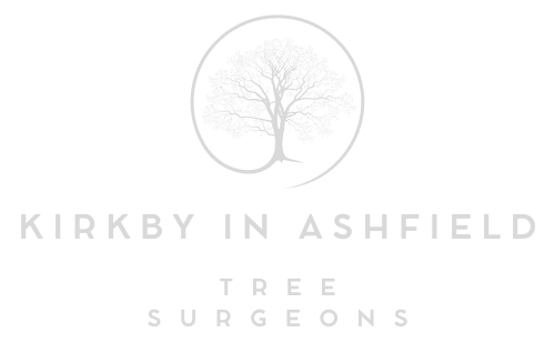 Kirkby in Ashfield Tree Surgeons